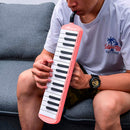 Melódica Pianica Stingrey De 37 Teclas Con Estuche Suave