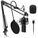 Micrófono Condensador Fifine K780 Usb Profesional