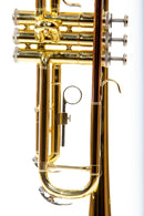 Trompeta Importada De Alta Calidad